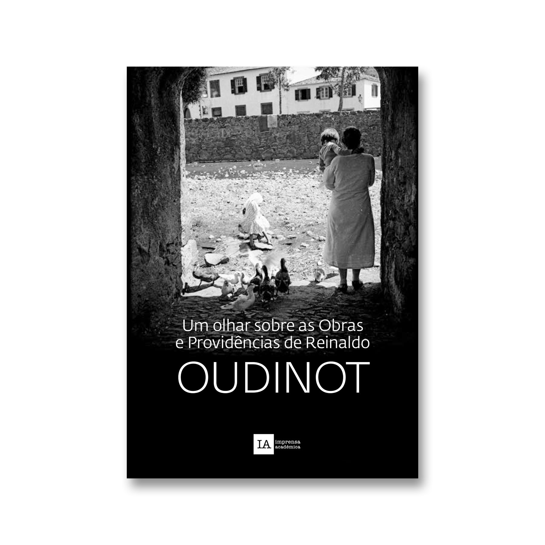 Um Olhar Sobre as Obras e Providências de Reinaldo Oudinot
